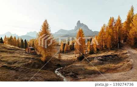 Bunch of trees with orange colored leaves. Croda da Lago mountain at background, majestic landscape at autumn time 139274736