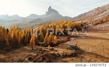 Bunch of trees with orange colored leaves. Croda da Lago mountain at background, majestic landscape at autumn time Bunch of trees with orange colored leaves. Croda da Lago mountain at background, majestic landscape at autumn time 139274753