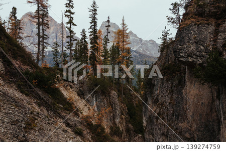 The alps mountains, aerial view of beautiful majestic nature, background with trees The alps mountains, aerial view of beautiful majestic nature, background with trees 139274759