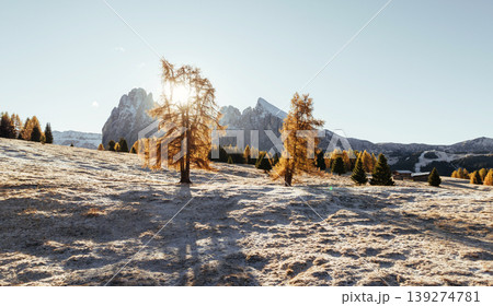 Daytime sunlight, beautiful nature. Alpe di Siusi, Seiser Alm, aerial view of majestic dolomites, mountains background Daytime sunlight, beautiful nature. Alpe di Siusi, Seiser Alm, aerial view of majestic dolomites, mountains background 139274781