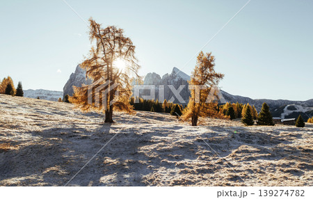 Surface is covered with white snow. Alpe di Siusi, Seiser Alm, aerial view of majestic dolomites, mountains background 139274782
