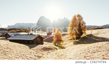 Surface is covered with white snow. Alpe di Siusi, Seiser Alm, aerial view of majestic dolomites, mountains background 139274784