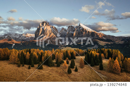 Mountains are at background. Alpe di Siusi, Seiser Alm, aerial view of majestic dolomites 139274848