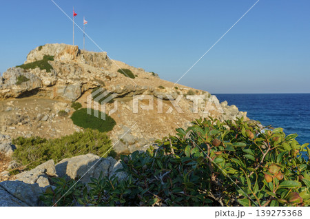 A serene coastal view with flags atop a rocky hill by the azure sea during a sunny afternoon. 139275368