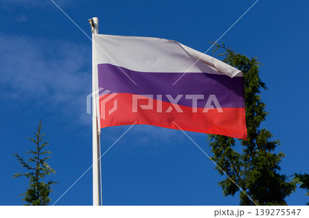 Waving Russian flag under a bright blue sky surrounded by green trees on a sunny day 139275547