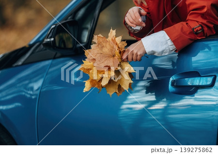 Detailed close up view of hands of woman that is sitting in car and holding fallen leaves Detailed close up view of hands of woman that is sitting in car and holding fallen leaves 139275862