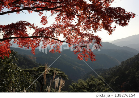 鳳来寺山 鳳来山東照宮 鳳来寺山 鳳来山東照宮 139276154