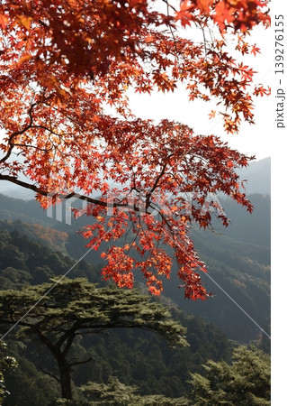 鳳来寺山 鳳来山東照宮 鳳来寺山 鳳来山東照宮 139276155