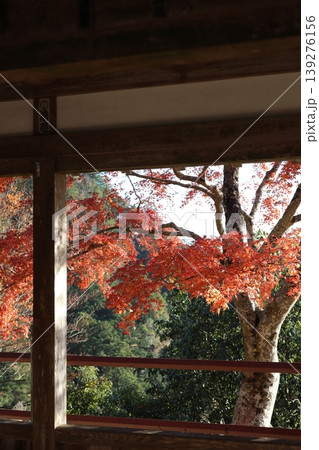 鳳来寺山 鳳来山東照宮 鳳来寺山 鳳来山東照宮 139276156
