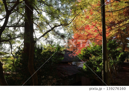 鳳来寺山 鳳来山東照宮 鳳来寺山 鳳来山東照宮 139276160