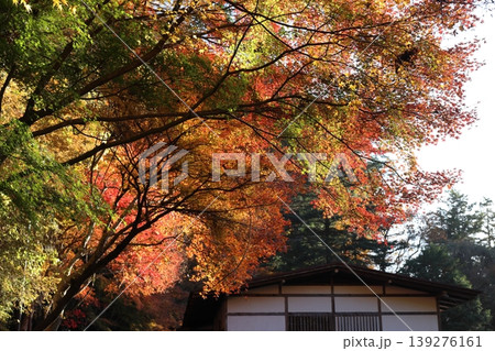 鳳来寺山　鳳来山東照宮 139276161