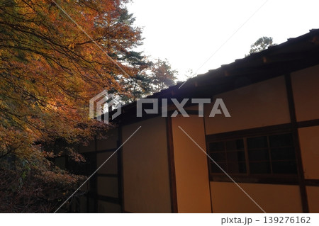 鳳来寺山　鳳来山東照宮 139276162
