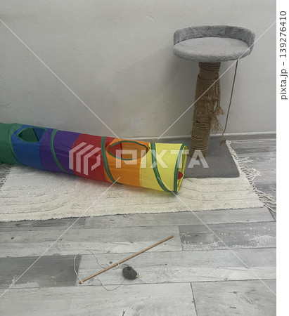 cat toy near the cat tube on the floor. cat toy near the cat tube on the floor. 139276410