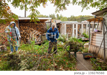 Two men clearing cut tree branches in backyard. People working together on garden maintenance and yard cleanup. Seasonal landscaping chores near wood pile and rural cottage. Seasonal tree pruning 139276560