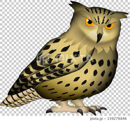 かわいい猛禽・野鳥・ふくろうイラスト　「ワシミミズク」　白背景・単体、ベクター形式 139276846
