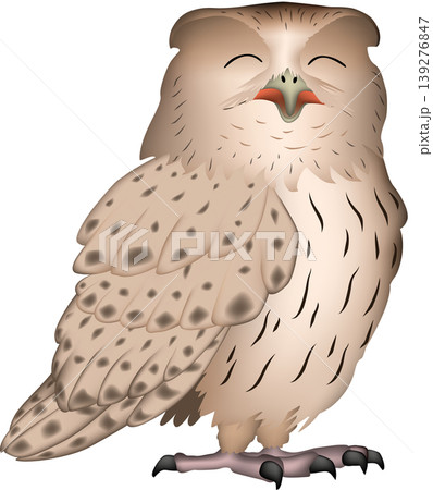 かわいい猛禽・野鳥・ふくろうイラスト　「シマフクロウ」　白背景・単体、ベクター形式 139276847