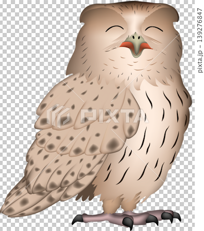 かわいい猛禽・野鳥・ふくろうイラスト　「シマフクロウ」　白背景・単体、ベクター形式 139276847