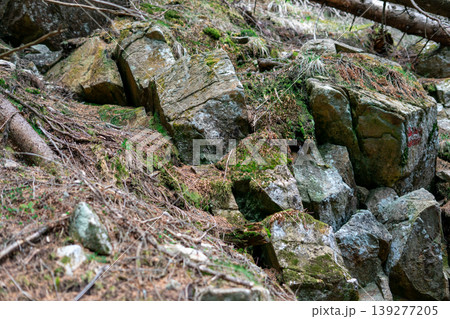 View of many fallen stones covered with earth and moss on the mountainside View of many fallen stones covered with earth and moss on the mountainside 139277205
