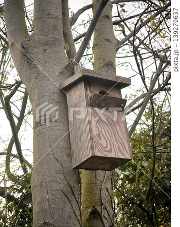 A wooden birdhouse on a tree trunk in spring against a cloudy sky A wooden birdhouse on a tree trunk in spring against a cloudy sky 139279637