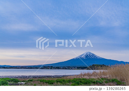 (山梨県)渇水が続く河口湖大石公園から早朝の富士山 (山梨県)渇水が続く河口湖大石公園から早朝の富士山 139280265