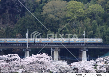 眼下に咲き誇る桜に見送られて早朝の中央東線を走行する211系電車_2026/4/11撮影 139280285