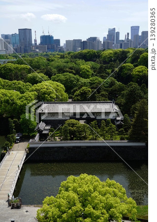 高層ビル群と皇居の新緑に映える平川橋と平川門　4月千代田1175皇居と高層ビル群・平川門 139280365
