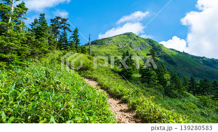 夏の岩菅山登山(ノッキリ~岩菅山山頂) 夏の岩菅山登山(ノッキリ~岩菅山山頂) 139280583