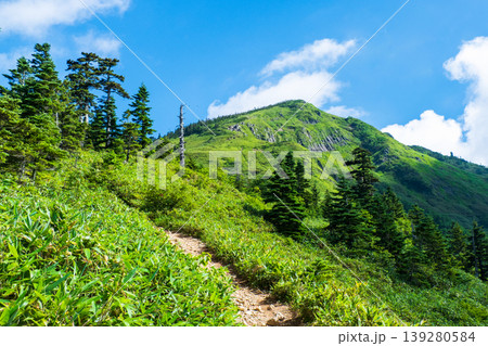 夏の岩菅山登山(ノッキリ~岩菅山山頂) 夏の岩菅山登山(ノッキリ~岩菅山山頂) 139280584