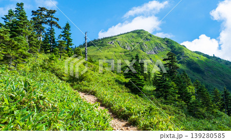 夏の岩菅山登山(ノッキリ~岩菅山山頂) 夏の岩菅山登山(ノッキリ~岩菅山山頂) 139280585