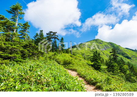 夏の岩菅山登山（ノッキリ～岩菅山山頂） 139280589