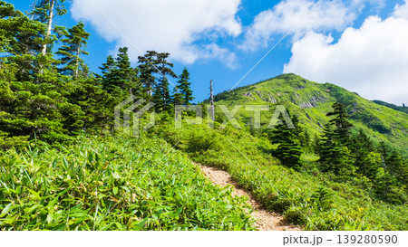 夏の岩菅山登山(ノッキリ~岩菅山山頂) 夏の岩菅山登山(ノッキリ~岩菅山山頂) 139280590