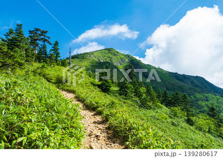 夏の岩菅山登山（ノッキリ～岩菅山山頂） 139280617