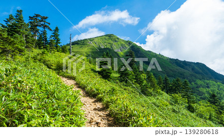 夏の岩菅山登山（ノッキリ～岩菅山山頂） 139280618