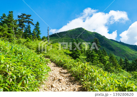 夏の岩菅山登山(ノッキリ~岩菅山山頂) 夏の岩菅山登山(ノッキリ~岩菅山山頂) 139280620