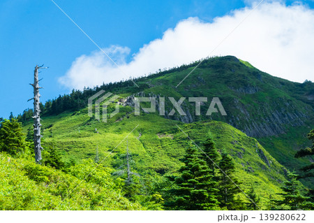 夏の岩菅山登山(ノッキリ~岩菅山山頂) 夏の岩菅山登山(ノッキリ~岩菅山山頂) 139280622