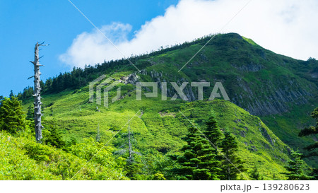 夏の岩菅山登山（ノッキリ～岩菅山山頂） 139280623