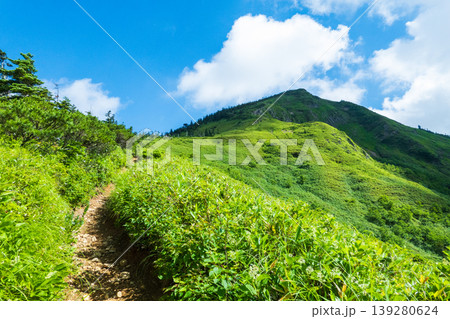 夏の岩菅山登山（ノッキリ～岩菅山山頂） 139280624