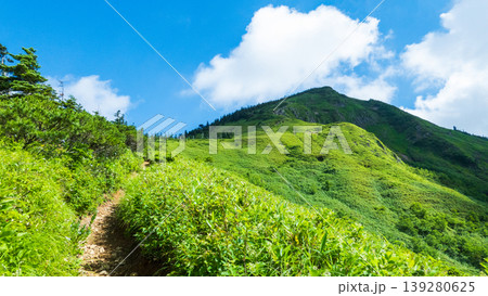 夏の岩菅山登山(ノッキリ~岩菅山山頂) 夏の岩菅山登山(ノッキリ~岩菅山山頂) 139280625