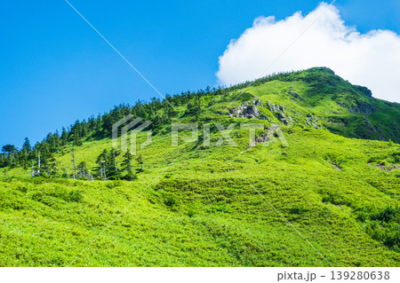 夏の岩菅山登山(ノッキリ~岩菅山山頂) 夏の岩菅山登山(ノッキリ~岩菅山山頂) 139280638