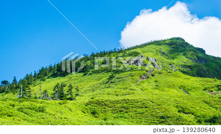 夏の岩菅山登山(ノッキリ~岩菅山山頂) 夏の岩菅山登山(ノッキリ~岩菅山山頂) 139280640