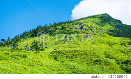 夏の岩菅山登山(ノッキリ~岩菅山山頂) 夏の岩菅山登山(ノッキリ~岩菅山山頂) 139280641