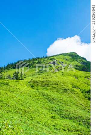 夏の岩菅山登山(ノッキリ~岩菅山山頂) 夏の岩菅山登山(ノッキリ~岩菅山山頂) 139280643