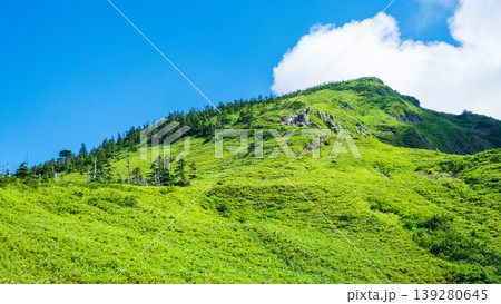 夏の岩菅山登山（ノッキリ～岩菅山山頂） 139280645