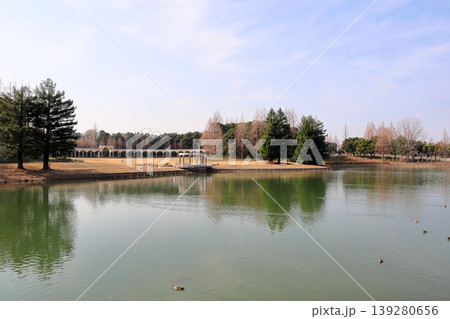 冬の公園 爽やか 朝の風景 冬の公園 爽やか 朝の風景 139280656