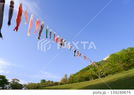 若宮公園の鯉のぼり 若宮公園の鯉のぼり 139280674