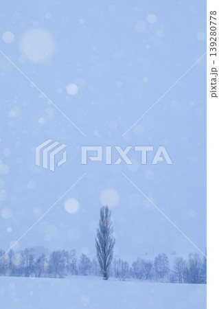 冬の美瑛町雪とポプラの木 冬の美瑛町雪とポプラの木 139280778