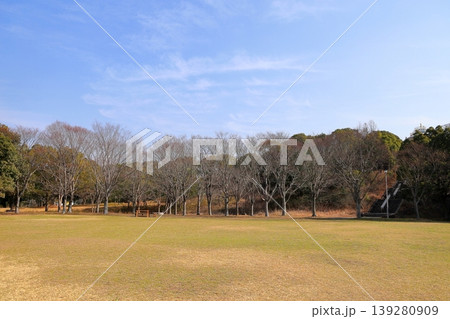 冬の公園　春を待つ　雑木林 139280909