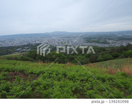 悠久の街を一望する。曇り空の下でしっとりと広がる奈良盆地の絶景 悠久の街を一望する。曇り空の下でしっとりと広がる奈良盆地の絶景 139281098