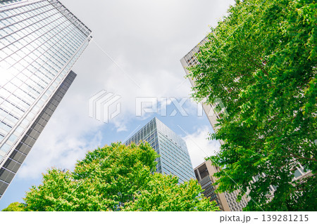 緑のあるオフィス街の風景 緑のあるオフィス街の風景 139281215