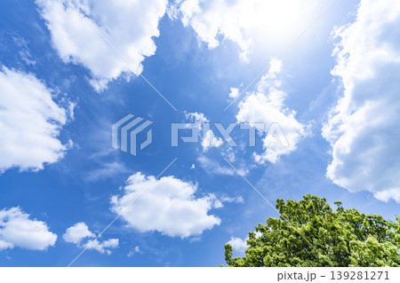 春の青空と雲と新緑 春の青空と雲と新緑 139281271